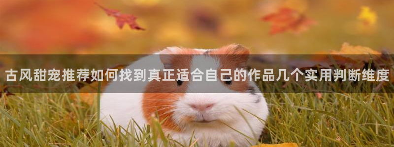 梦漫漫画最新推荐:古风甜宠推荐如何找到真正适合自己的作品几个实用判断维度